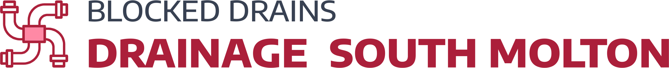 website logo